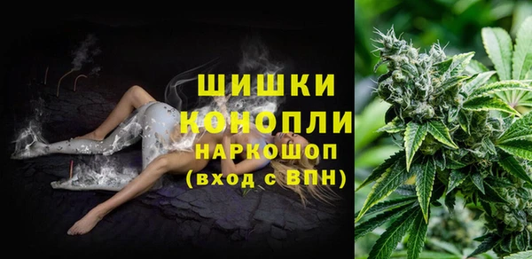 ГАЛЛЮЦИНОГЕННЫЕ ГРИБЫ Волоколамск